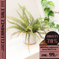 *Clearance* Decoration Fern ต้นเฟิร์นเทียม | ต้นไม้ ดอกไม้ ใบไม้ ไม้เลื้อย ไม้ประดับ เทียม ปลอม ประดิษฐ์ เหมือนจริง กิ่ง ก้าน กระถาง แจกัน ตกแต่ง บ้าน ร้าน คาเฟ่ ร้านอาหาร