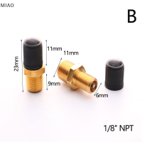 MIAO 2pcs M10/1/8 /1/4 NPT MPT brass Air Compressor TANK fill Valve Double HEAD