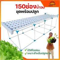 ชุดปลูกผักไฮโดรโปนิกส์น้ำวน150ช่อง