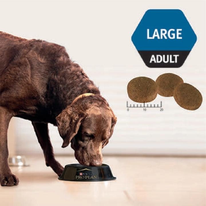 อาหารสุนัขแบบเม็ด-สำหรับสุนัขโตเต็มวัย-proplan-รสไก่-2-5kg