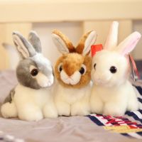 【A Great】 ตุ๊กตากระต่ายน่ารัก20ซม. ตุ๊กตา Bunnychildren BirthdayDecor ForFriendNew