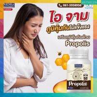 [2 กระปุก]NBL Propolis -โพลโพลิชชนิดเข้มข้น 300Mg (Propolisfresh 1500 mg)ส่งฟรี