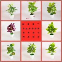 [COD] Factory direct sales simulation green plant potted radish bonsai artificial decoration cross-border supply