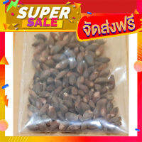 ส่งฟรี ขายส่ง 100 เมล็ด เมล็ดสนจูนิเปอร์ Juniper bonsai seeds บอนไซ สนเลี้อย เมล็ดพันธุ์นำเข้า ไม้ดัด ไม้โขด ไม้หัว จัดสวน โปรโมชั่น เก็บปลายทาง