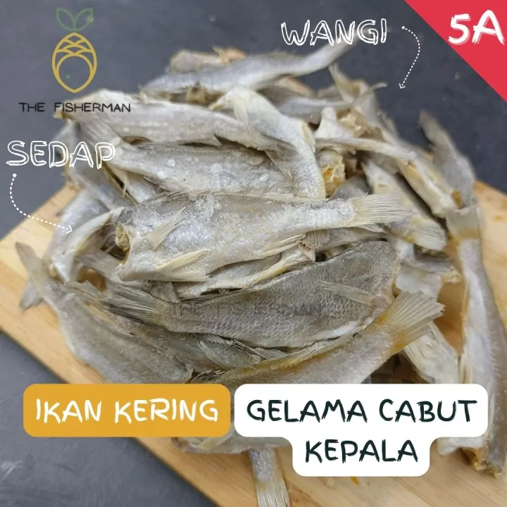 [Borong] Ikan Masin Gelama Cabut Kepala 100% SEGAR (1KG/500G/300G ...