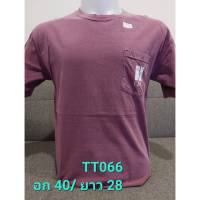 (TT066) เสื้อยืดคอกลมแขนสั้นมือสอง COMFORT COLORS