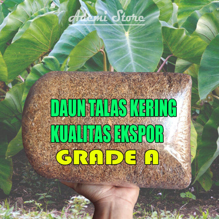 Mengenal Grade Daun Teh Ortodoks dan Keunikan Rasa yang Ditawarkannya