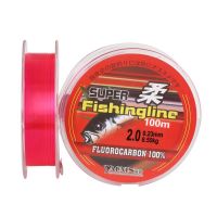 100M/200M Nylon Fishing Line Japanese Durable Monofilament Rock Sea Anti-bite Fishing Leader Wire Carp fishing Fishing Lines