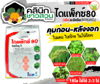 ? ไดแพ๊กซ์ (อะมีทรีน80%) บรรจุ 900กรัม คุมก่อน หลังงอกหญ้าใบแคบ ใบกว้าง