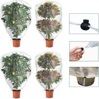 【CW】 1Pcs Fruit Fly Net Insect Mesh Landscape Garden Netting Fruits Vegetables