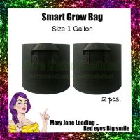 [ส่งKERRY] แพ็ค2ชิ้น ถุงปลูกต้นไม้แบบผ้า ขนาด 1/3/5/7/10/15/17/20/30/40 แกลลอน Smart Grow Bag - Fabric Pot กระถางผ้าพร้อมที่จับ smart pot เติบโตถุงแบบพกพาที่ปลูกทำสวน กระถางต้นไม้แบบผ้า จัดส่งทุกวันส่งเร็ว