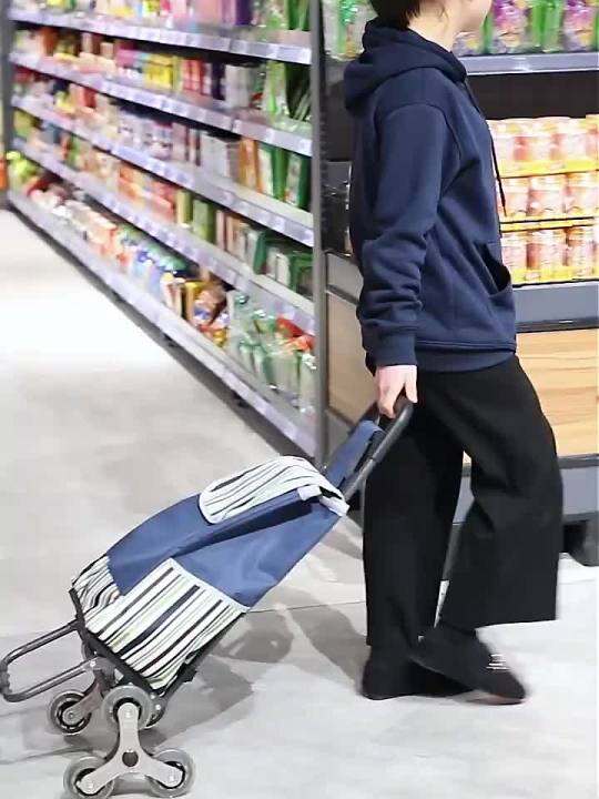 Kilometers Shopping Cart Hand Buggy Shopping Cart Trailer Luggage Trolley Elderly Shopping Cart