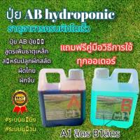 ปุ๋ยไฮโดรโปนิกส์ ปุ๋ยAB ปุ๋ยน้ำ ปุ๋ยผักสลัด สำหรับปลูกผัก Hydroponics ขนาด1000ML New สูตรเข้มข้น