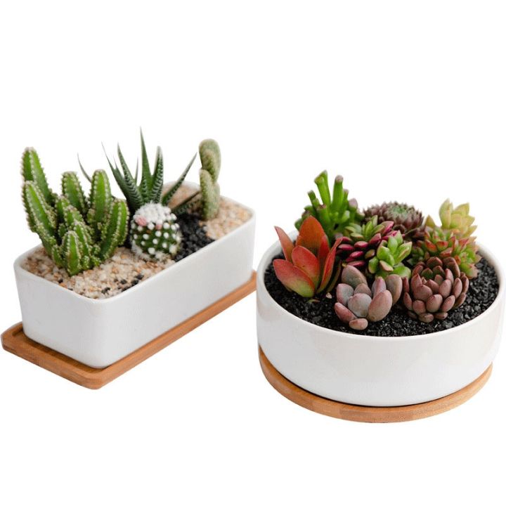 creative-round-rectangular-flower-pot-home-decoration-green-plants-bonsai-white-porcelain-planter-succulent-flowerpots-ornament