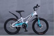 Xe Đạp Địa Hình Thể Thao BDF 20 22inch Cho Trẻ Em Trên 6T