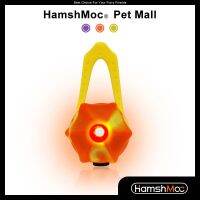 HamshMoc คลิปสายไฟ LED สำหรับสุนัขป้ายสัตว์เลี้ยงกันน้ำได้สำหรับใส่เดินกลางคืนเรืองแสงติดสายจูงปลอกคอป้องกันการสูญหายสายชาร์จ USB