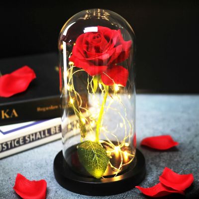 [AYIQ Flower Shop] Dropshipping ของขวัญวันแม่ Beauty And Beast Red Galaxy Rose ในโดมแก้วพร้อม LED คริสต์มาสของขวัญวันวาเลนไทน์สำหรับภรรยา