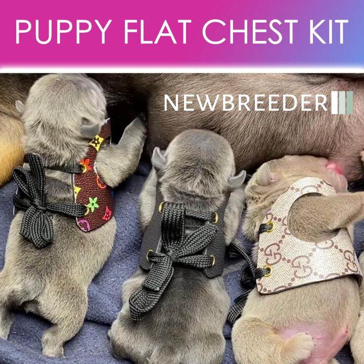 French Bulldog Flat Chest Support Lazada PH