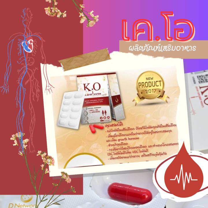 k-o-เค-โอ-ผลิตภัณฑ์เพื่อสุขภาพ-ดีท็อกเลือด-บำรุงเลือด