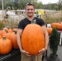 เมล็ดฟักทองฮาโลวีน พันธุ์คอนเนคติคัท ฟิลด์ - Connecticut Field Pumpkin บรรจุ  5 เมล็ด