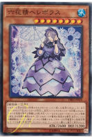 [DBSS-JP020] Hellebore the Rikka Fairy (Common)