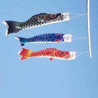 ปลาคาร์พญี่ปุ่นซาตินถุงลมแสดงทิศทางลมลำแสง Koi Nobori Sailfish Flag สำหรับตกแต่งวันเด็กพื้นสนามหญ้ากลางแจ้ง