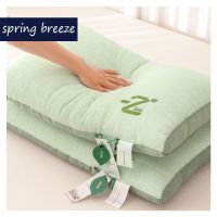 Spring Breeze Mint Pillow Pillow Core Set A Pair of Pillows Single One Adult Pillow Neck Pillow Core Not Deformed cotton pillowcase