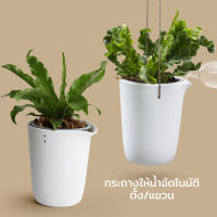 กระถางให้น้ำอัตโนมัติ ตั้ง/แขวน ไซส์ S - Qualy Oasis round pot (S)