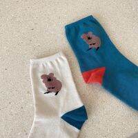 [Pre-order] dinotaeng ʕ·ᴥ·ʔ — Quokka Socks