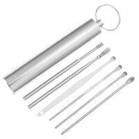 2 Sets Ear Picking Kit Cleaning Tool Cleaner Baby Earpick Portable Earwax Stainless Steel Buds