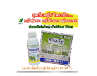 โกลอะนิล+วีรัน-โก ชุดเก็บหญ้าในนาข้าว หญ้าพุ่มพวง หญ้าข้าวนก หญ้าดอกขาว ผักปอดนา กกขนาก หนวดปลาดุก