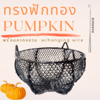 กระถาง ระบายอากาศ ทรงฟักทอง 8 / 12 นิ้ว **พร้อมลวดแขวน** (Pumpkin Shaped Mesh Basket With Hanging Wire)