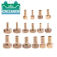 [HOT] Brass Hose Fitting 6/8/10/12/14/16/19mm Barb Tail 1/8 quot; 1/4 quot; 3/8 quot; 1/2 quot; 3/4 quot; 1 quot; BSP Female Thread Copper Connector Coupler Adapter