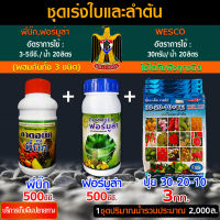 สินค้าชุด เร่งความสมบูรณ์ของลำต้นและใบ 1.พี่บิ๊ก 500มล.(ฮอร์โมน) + 2.ฟอร์มูล่า 500มล.(สารจับใบ) + 3.WESCO (ปุ๋ย 30-20-10) 3กก. / ผสมน้ำได้ 2,000ล.