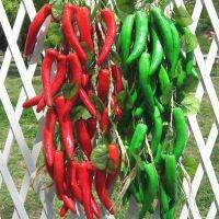 【cw】 Artificial Fruit Foam Vegetable Corn Pepper Garlic Hanging Photo Prop ！