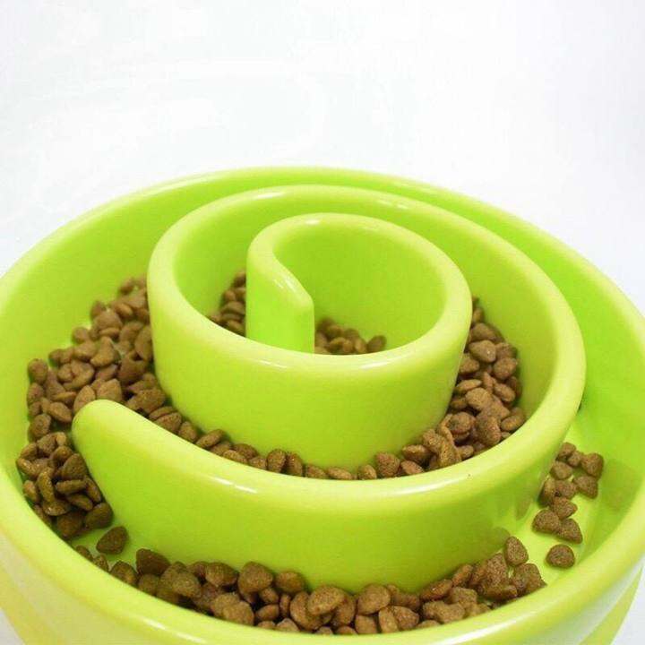 ชามให้อาหารหมา-ชามอาหารสัตว์เลี้ยง-pet-food-bowl-แมว-ชามข้าวแมว-pet-food-bowl-ชามให้อาหาร-ชามให้อาหารแมว-ขนาด-20cm-คละสี