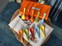 French Hot Cool Color 10 Pack Small Soup Spoon Gift Box Ceramic Soup Spoon Set Luxury Gift Box Serving Utensils