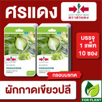 ผักซอง ศรแดง เมล็ดพันธุ์ พันธุ์ผัก เขียวปลี กรอบมรกต F1 บรรจุแพ็คล่ะ 10 ซอง ราคา 230 บาท