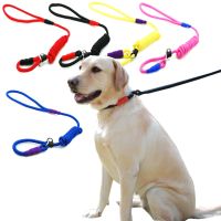 【LZ】 Pet Dog Nylon Adjustable Slip Chains Training Collar Leash Rope Pet Products Dog  Strap Traction Rope Dog Pinch Collar Lead