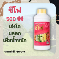 ปุ๋ยน้ำ ซีโฟ ขนาด 500 ซีซี บำรุงดอก บำรุงผล ขนาดขนาดผลให้ใหญ่ เนื้อแน่น ขั้วเหนียว ต้นแข็งแรงไม้หลุดง่าย