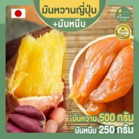 ?สินค้าขายดี? มันหวานญี่ปุ่น 500 กรัม + มันหนึบญี่ปุ่น 250 กรัม ขนมญี่ปุ่น เบนิฮารุกะ นำเข้าจากญี่ปุ่น  มันหนึบ มันหวาน มันหวานหนึบ