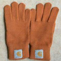 ต้นฉบับ THE NORTH FACE Carhartt Carhartt ski tooling trendy brand autumn and winter thickened warm gloves cold-proof cycling couple gloves