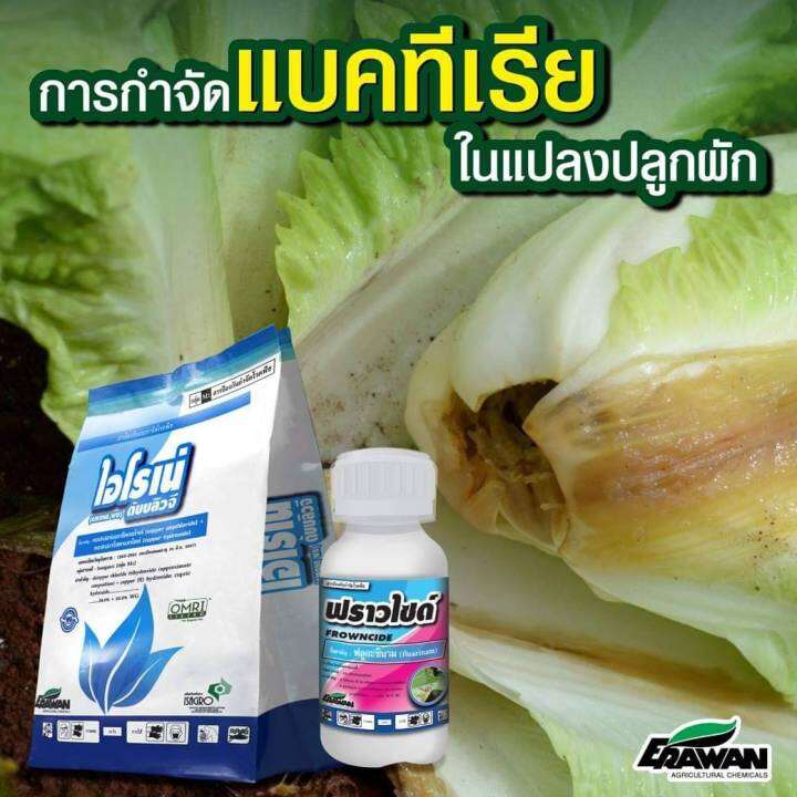 ฟราวไซด์-ฟลูอะซินาม-fluazinam-50-w-v-sc-ขนาด-100-ml