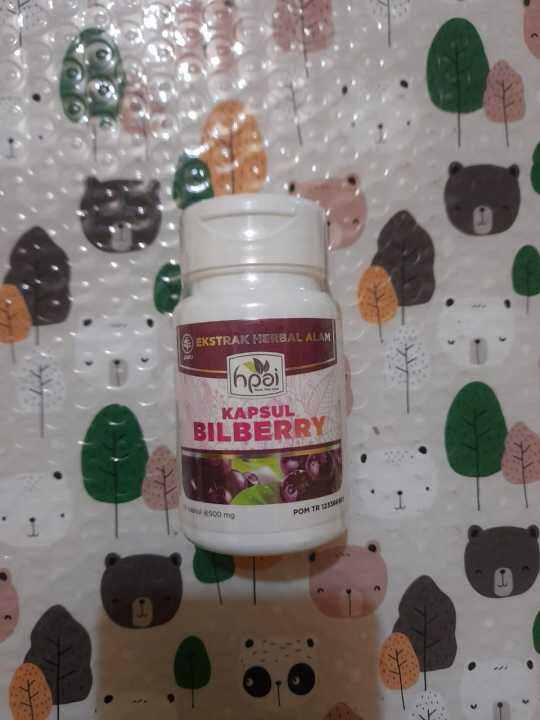 BILBERRY HNI HPAI Herbal Kesehatan Mata Menjaga Fungsi Retina Mata