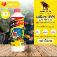 Bactocel 5001 แบคโตเซล 5001 1000ml. 1 ขวด จุลินทรีย์รักษาสภาพน้ำในบ่อปลา จุลินทรีย์น้ำใส น้ำใส น้ำมีกลิ่นเหม็น จุลินทรีย์บ่อปลา ยาใส่ตู้ปลา