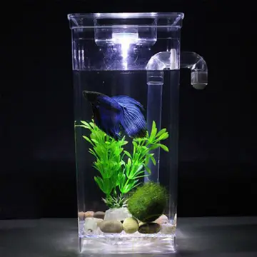 Betta Fish Tank Self Cleaning Glass 2 Gallon Small Nano Aquarium Starter  Kits De