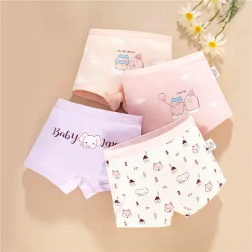 Kids Toddler Infant Baby Girls Boys Cotton Underpants Cartoon Print Underwear  Briefs Trunks 4PCS Organic Kids Underwear (Pink, 5-6 Years) : :  Clothing, Shoes & Accessories