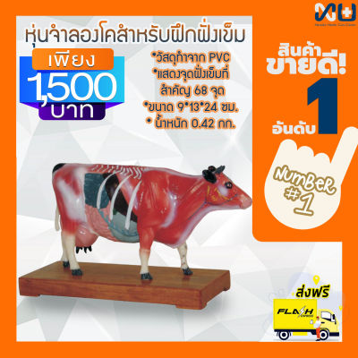 Anatomy model: NK- 603 หุ่นจำลองวัวสำหรับฝึกฝังเข็ม