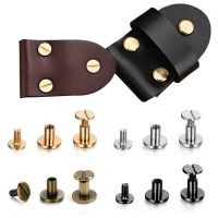 10Sets/20Pcs Luggage Leather Metal Craft Flat Belt Screws Nail Rivets Brass Gold Silver Solid Female Rivet Slotted Stud Head