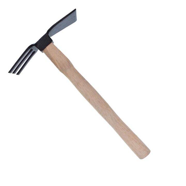 Gardening 2 in1 hoe and fork with wooden handle | Lazada PH